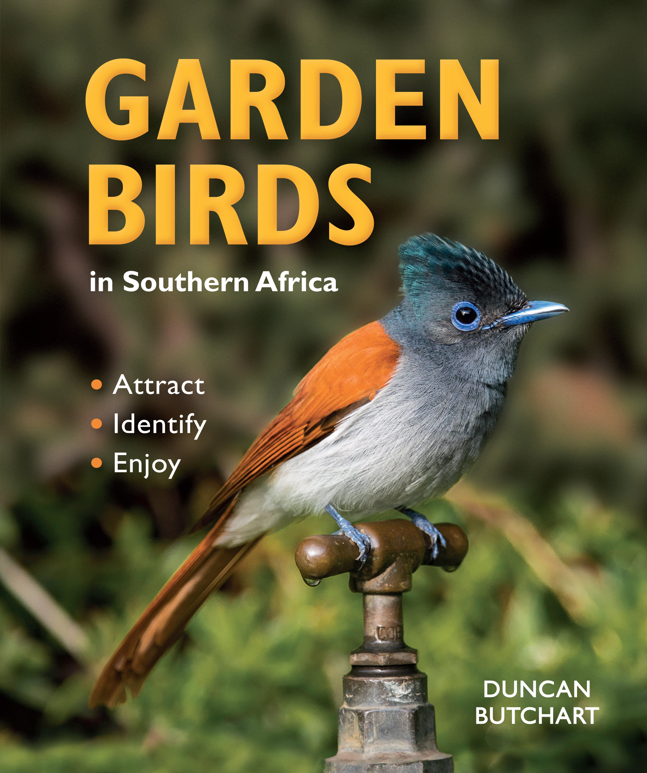 Garden Birds In Southern Africa By Butchart Duncan